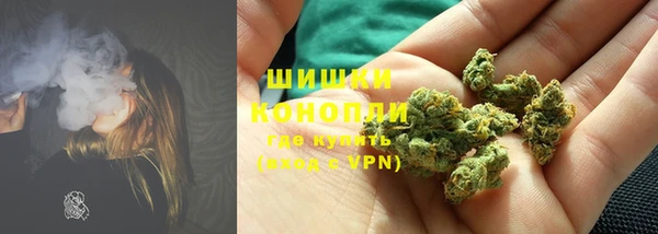 spice Аркадак