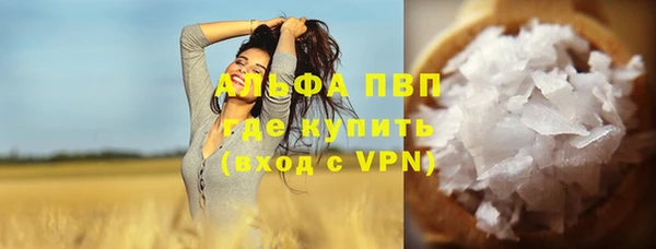 spice Аркадак