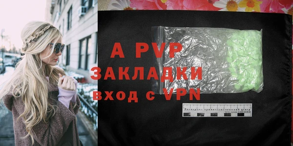 spice Аркадак