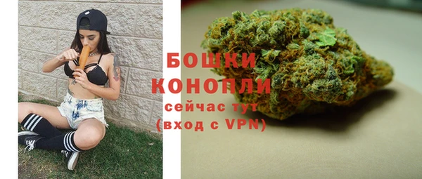 spice Аркадак