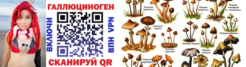 Галлюциногенные грибы мухоморы  Среднеколымск 